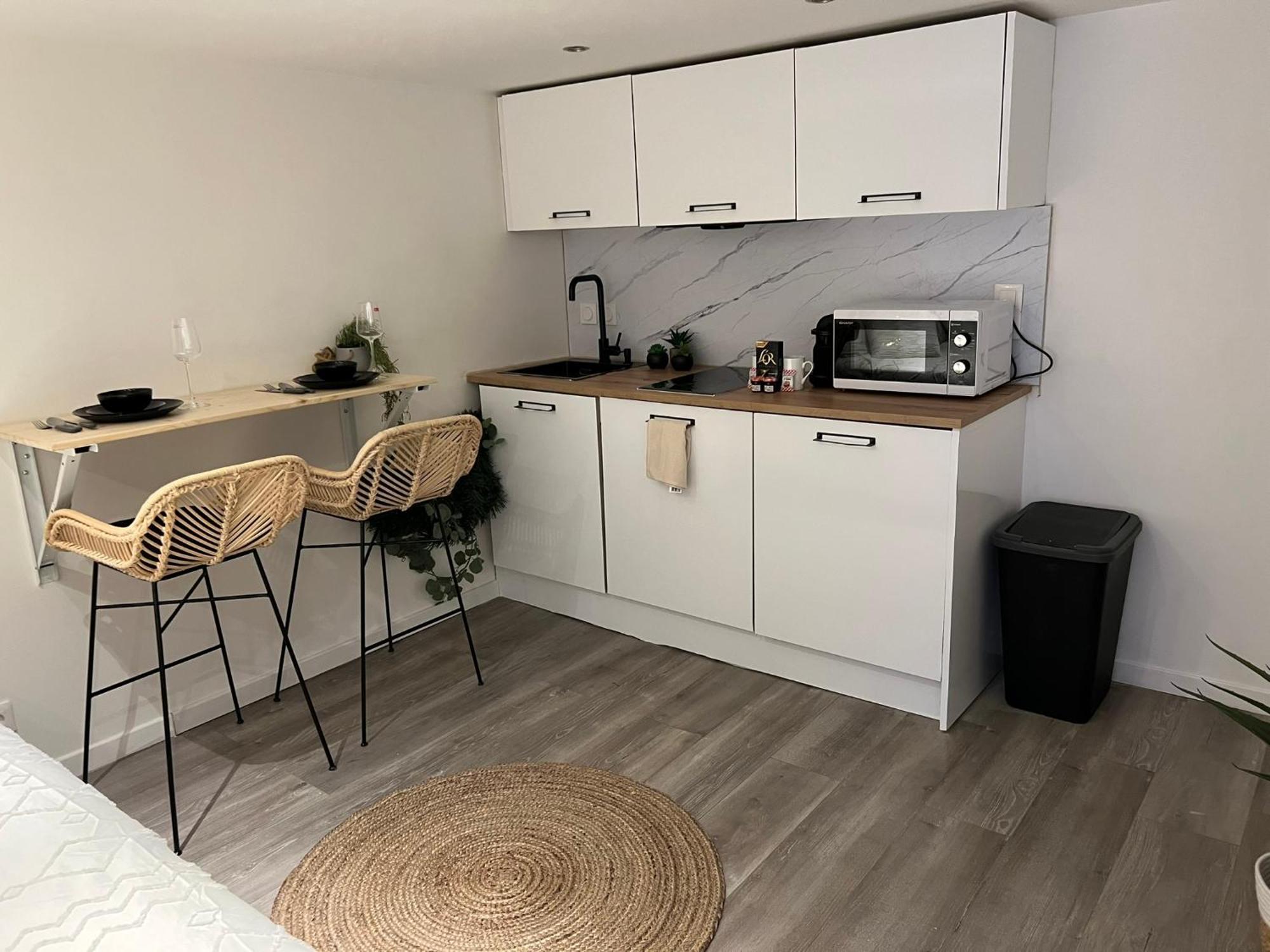 Le Zenith Vieille Ville D'Annecy Zewnętrze zdjęcie