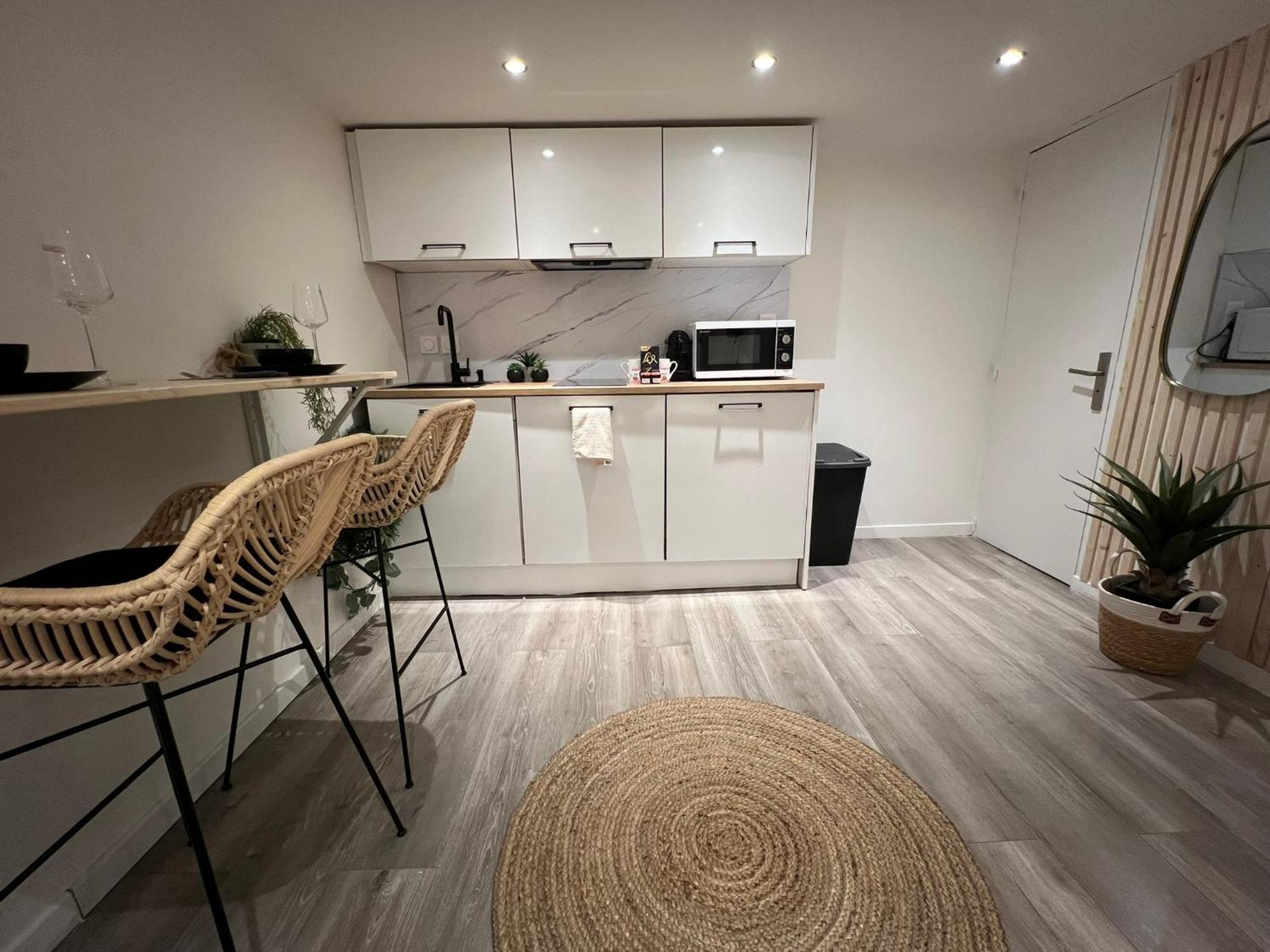 Le Zenith Vieille Ville D'Annecy Zewnętrze zdjęcie